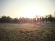 greenwichpark_thumb.jpg