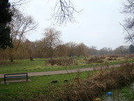 dsc01438_thumb.jpg