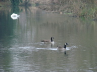dsc01455_thumb.jpg