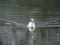 dsc01456_thumb.jpg