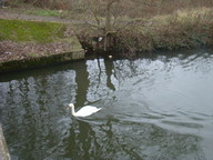 dsc01457_thumb.jpg