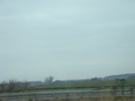 dsc01173_thumb.jpg
