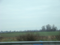 dsc01174_thumb.jpg
