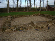 dsc01235_thumb.jpg
