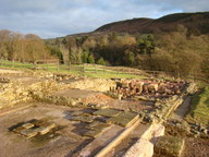 dsc01250_thumb.jpg
