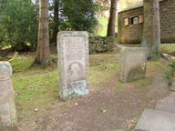 dsc01254_thumb.jpg