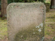 dsc01256_thumb.jpg