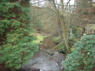 dsc01263_thumb.jpg