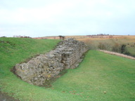 dsc01264_thumb.jpg