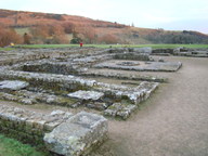 dsc01270_thumb.jpg