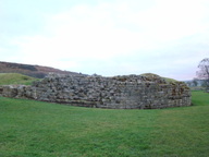 dsc01278_thumb.jpg