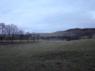 dsc01290_thumb.jpg