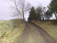 dsc01292_thumb.jpg