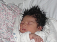 dsc00956_thumb.jpg