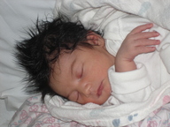 dsc00957_thumb.jpg