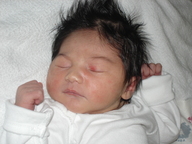 dsc00966_thumb.jpg