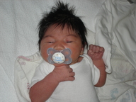 dsc00973_thumb.jpg