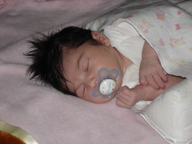 dsc00984_thumb.jpg
