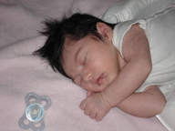 dsc00987_thumb.jpg