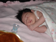 dsc00988_thumb.jpg