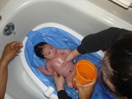 dsc00994_thumb.jpg