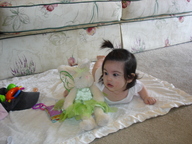 dsc01109_thumb.jpg