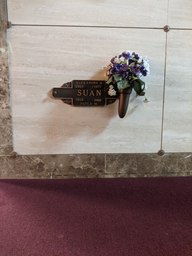 pxl_20240407_151305543_thumb.jpg