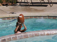 hpim01461_thumb.jpg
