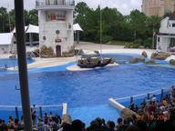 seaworld5_thumb.jpg