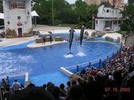 seaworld6_thumb.jpg