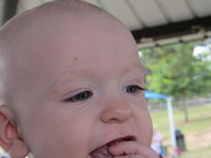 img_0340_thumb.jpg