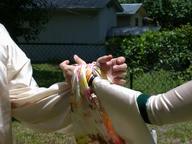 wedding3_thumb.jpg