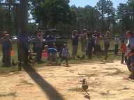 img00164-20111015-1308_thumb.jpg