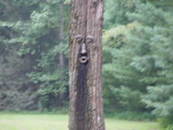 dsc04003_thumb.jpg