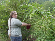 dsc04010_thumb.jpg