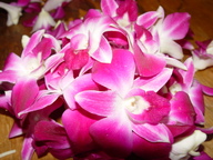 dsc04051_thumb.jpg