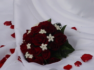 dsc04107_thumb.jpg
