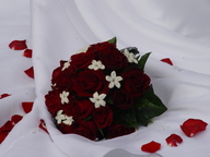 dsc04108_thumb.jpg