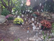 dsc04115_thumb.jpg