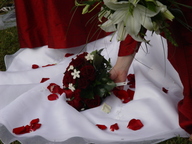 dsc04139_thumb.jpg