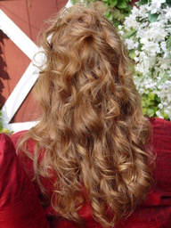 dsc04156_thumb.jpg