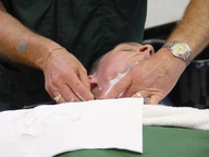 dsc04084_thumb.jpg