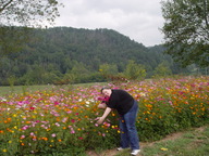 dsc04464_thumb.jpg