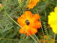dsc04467_thumb.jpg