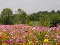 dsc04480_thumb.jpg
