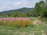 dsc04490_thumb.jpg
