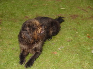 dsc03846_thumb.jpg