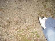 dsc03889_thumb.jpg