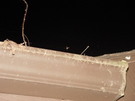 dsc03910_thumb.jpg