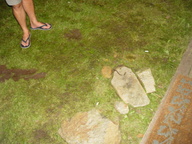 dsc03913_thumb.jpg